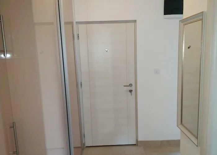 Lasofti 즐라티보